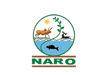 image removebg preview 2 1